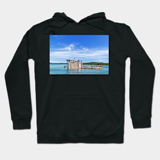 Boat & Birds. Hoodie